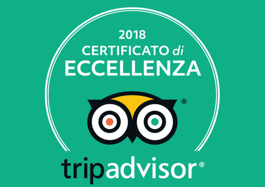 Tripadvisor: the Museum confirms excellence also in 2018
