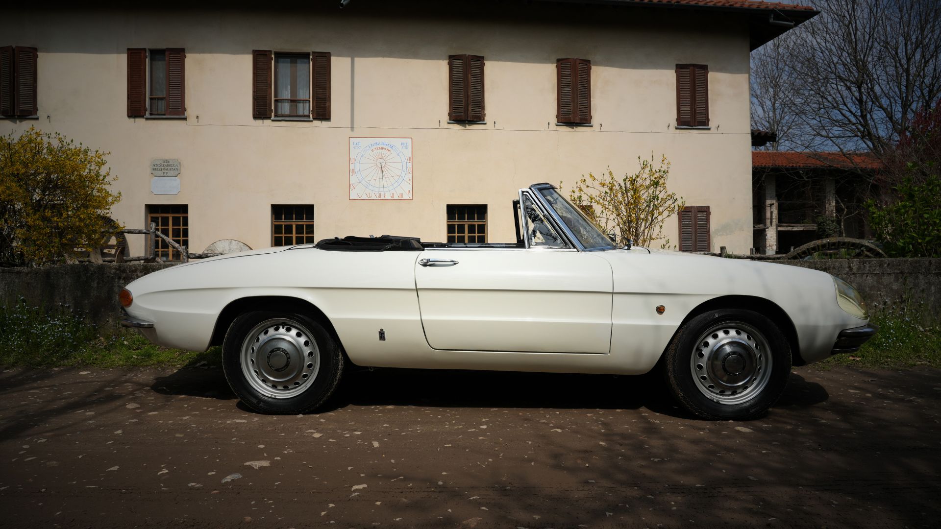 Osso di seppia Profumo d'Alfa